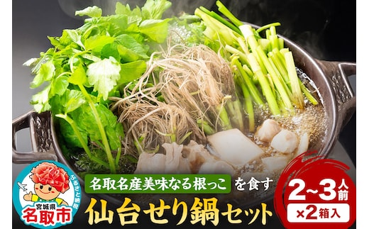 『仙台せり鍋セット 美味なる根っこ』 漁亭 浜や 名取名産美味なる根っこを食す 2～3人前×2箱