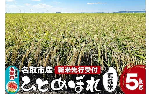 《新米先行受付》令和7年産 ひとめぼれ 無洗米 5kg 宮城県名取市産 新米