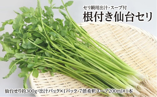【期間限定】根付き仙台セリ鍋出汁セット（セリ鍋用出汁・スープ付）（300g）2～3人前 [せり鍋 仙台名物 冬 ごちそう 惣菜 セリ]