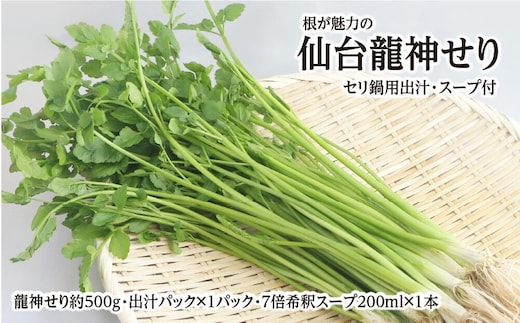 【期間限定】根が魅力の仙台龍神せり鍋出汁セット（セリ鍋用出汁・スープ付）(500ｇ)4～5人前 [せり鍋 仙台名物 冬 ごちそう 惣菜 セリ]
