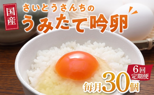 【6回定期便】さいとうさんちのうみたて吟卵 30個入り