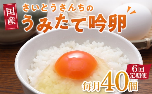 【6回定期便】さいとうさんちのうみたて吟卵 40個入り
