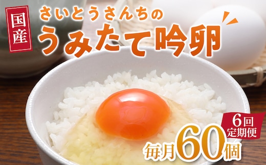 【6回定期便】さいとうさんちのうみたて吟卵 60個入り