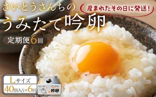 【6回定期便】さいとうさんちのうみたて吟卵 40個入り