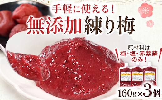 【ふるさと納税】宮城県角田産【無添加】まごころ手作り練り梅(160g)×3個