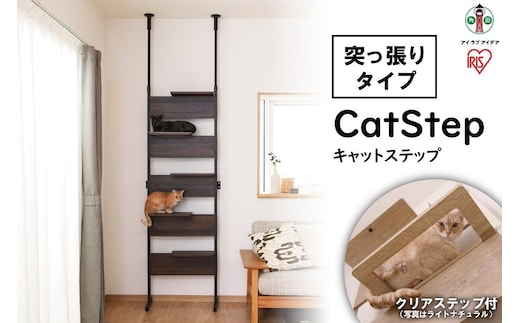 キャットステップ ウォールナット CATS-68