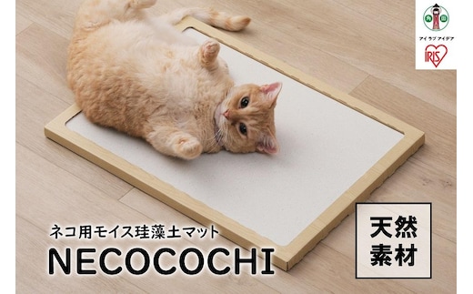 ＮＥＣＯＣＯＣＨＩ NCC-45ナチュラル