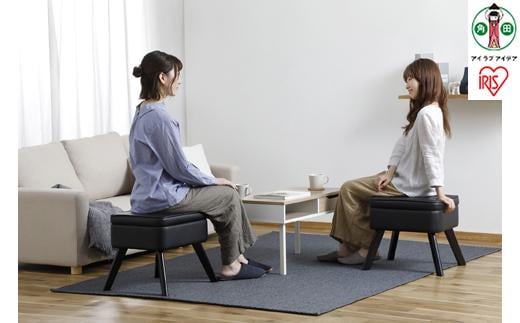 椅子 チェア 収納付オットマン LEC-OT ブラック