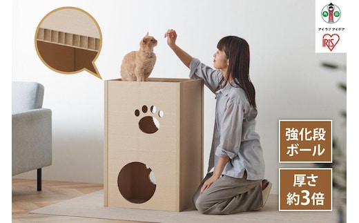 猫 ねこねこタワー P-NT2