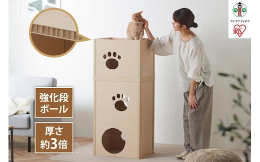 猫 ねこねこタワー P-NT3