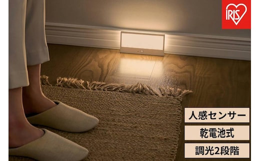 乾電池式LEDセンサーライト パネルスタンドタイプ BSL-SMSP