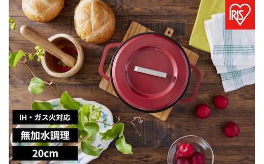 鍋 無加水鍋 ＣＯＴＯＣＯ ２０ｃｍ SMKSN-S20ビーツレッド