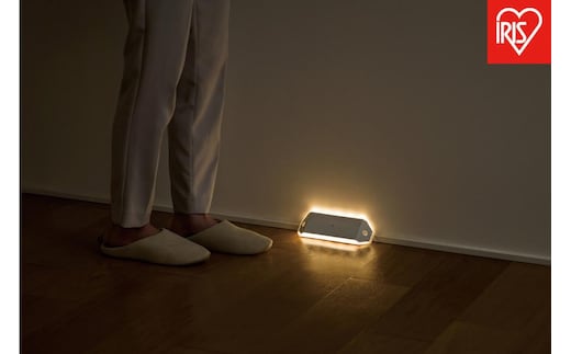 乾電池式LEDセンサーライト ダブルセンサー 廊下タイプ BSL-RWMS