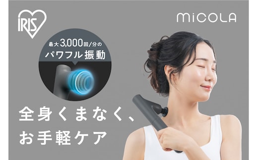 ビューティーケアガンプラス FRT-M02-H ダークグレー