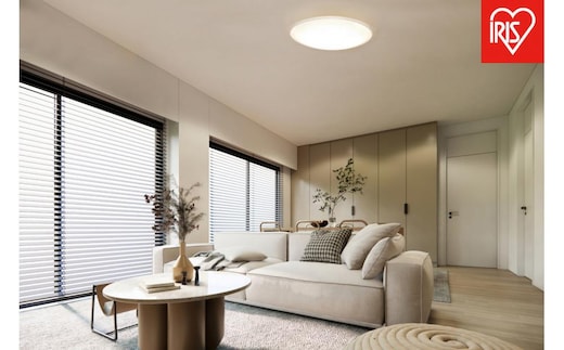 照明 LEDシーリングライト 12畳調光 クリアフレーム CEA12D-5.0QCF