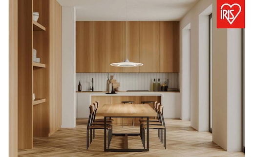 照明 LEDペンダントライト パネルライト 温白色 PLP6D-WW ホワイト