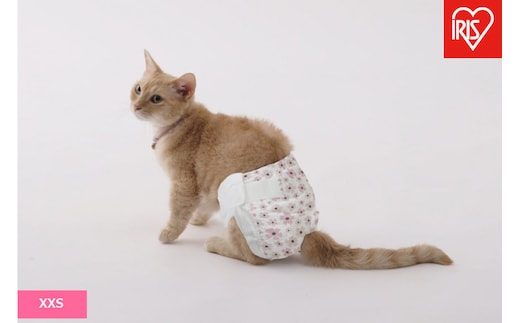 【42枚入り×6袋】ペット用おむつ ピタフィット ＸＸＳ ４２枚入 女の子用 NPD-XXS42