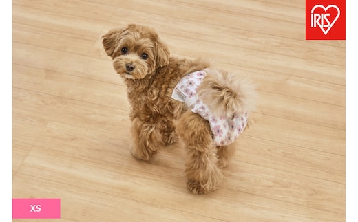 【38枚入り×6袋】ペット用おむつ ピタフィット ＸＳ ３８枚入 女の子用 NPD-XS38