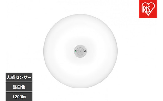 LED小型シーリングライト 人感センサー付 昼白色 SCL12N-MS-U2