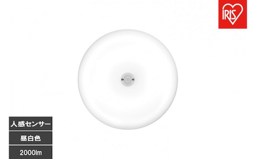 LED小型シーリングライト 人感センサー付 昼白色 SCL20N-MS-U2