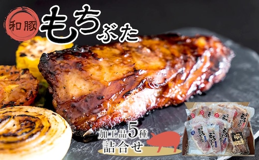 豚肉 和豚もちぶた 加工品5種詰合せ ( モモ味噌漬け & モモ塩糀漬け & 肩ロース味噌漬け & 肩ロース塩糀漬け × 各3パック & スペアリブ2本 × 1パック )