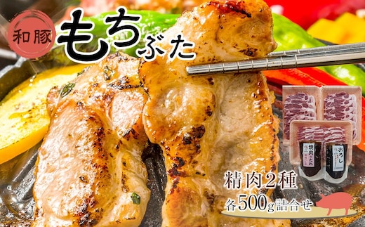 豚肉 和豚もちぶた 精肉2種各500g詰合せ ( 肩ロース ソテー用130g × 5枚 & 肩ロース 焼き肉用500g × バラ 焼き肉用500g )