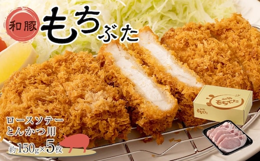 豚肉 『もちぶた』ロース ソテー・とんかつ用 750g ( 約150g × 5枚 )