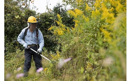 空き家管理作業B（見回り・報告・簡易作業）約2時間