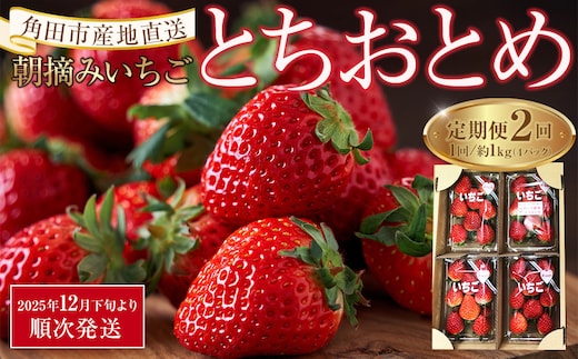 【定期便2回】【角田市産地直送】朝摘みいちご「とちおとめ」合計約1kg（250g×4パック）