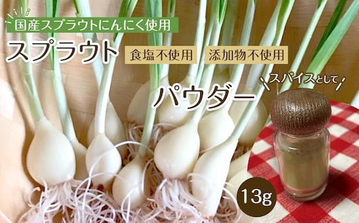 スプラウトにんにくパウダー13g 国産スプラウトにんにく使用