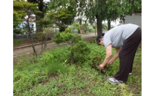 【岩沼市】空き家管理サービスA（見回り・簡易作業（ゴミ拾い、除草作業）・報告）約2時間 チケット 