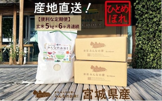 玄米 定期便 6ヶ月 ひとめぼれ 5kg 合計 30kg 岩沼みんなの家 みんなのお米! 米 お米 単一原料米 ブランド米 東北 震災 支援 こめ おこめ ご飯 ごはん 5キロ 6か月 6ヵ月 産地直送 送料無料 宮城県産 宮城 宮城県 岩沼市 定期 6回