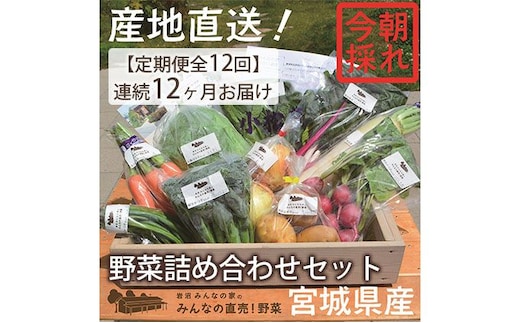 野菜 定期便 12ヵ月 朝どれ 野菜セット 8～10個 詰め合わせ 岩沼みんなの家 みんなの直売! 季節の野菜 旬の野菜 旬 東北 震災 支援 12ヶ月 産地直送 送料無料 冷蔵 冷蔵配送 宮城県産 宮城 宮城県 岩沼市 定期 12回
