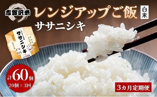 【令和7年産】3ヵ月定期便 ササニシキ 志賀沢米 レンジアップごはん 20個セット お米 米 精米 パックごはん 岩沼市 志賀産