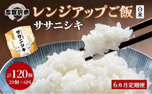 【 令和7年産】6ヵ月定期便 ササニシキ 志賀沢米 レンジアップごはん 20個セット お米 米 精米 パックごはん