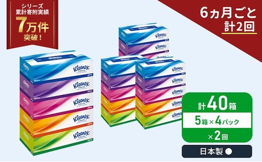 定期便 ティッシュ クリネックス 5箱入 × 4パック 《 6ヶ月ごと計 2回 》 ティッシュ セット