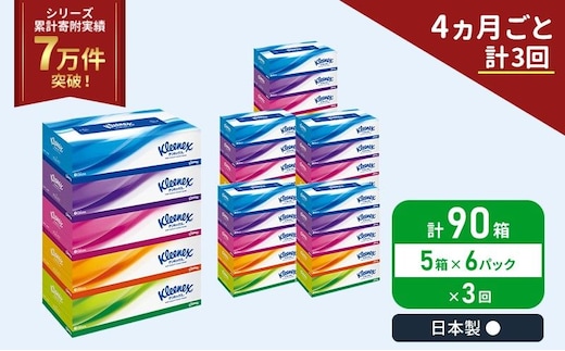 定期便 ティッシュ クリネックス 5箱入 × 6パック《 4ヶ月ごと計 3回 》 ティッシュ セット