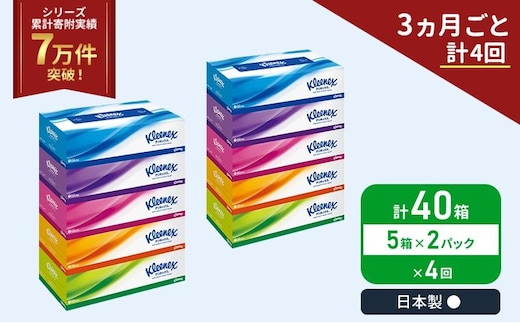 定期便 ティッシュ クリネックス 5箱入 × 2 パック《3ヶ月ごと計 4回》 ティッシュ セット