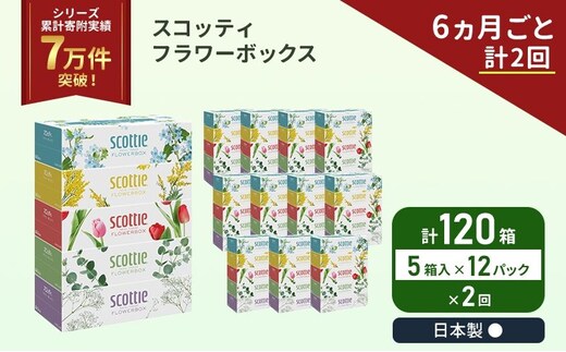 定期便 ティッシュ スコッティ フラワーボックス 120箱 ( 5箱 × 12パック )《 6ヶ月ごと 計 2回 》 クレシア 日用品 防災 備蓄 日本製 宮城県 岩沼市