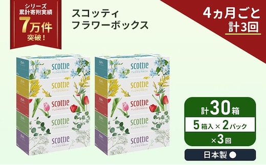 定期便 ティッシュ スコッティ フラワーボックス 30箱 ( 5箱 × 2パック )《 4ヶ月ごと 計 3回 》 クレシア 日用品 防災 備蓄 日本製 宮城県 岩沼市