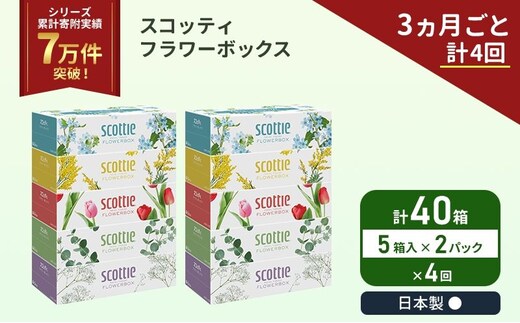 定期便 ティッシュ スコッティ フラワーボックス 40箱 ( 5箱 × 2パック )《 3ヶ月ごと 計 4 回》 クレシア 日用品 防災 備蓄 日本製 宮城県 岩沼市