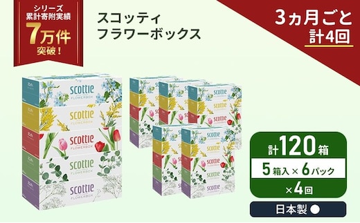 定期便 ティッシュ スコッティ フラワーボックス 120箱 ( 5箱 × 6パック )《 3ヶ月ごと 計 4 回》 クレシア 日用品 防災 備蓄 日本製 宮城県 岩沼市