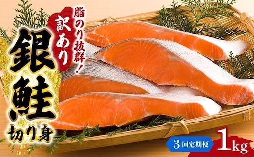 【 3ヶ月 連続 定期便 】訳あり 銀鮭 切り身 1kg セット 詰め合わせ 鮭 サケ