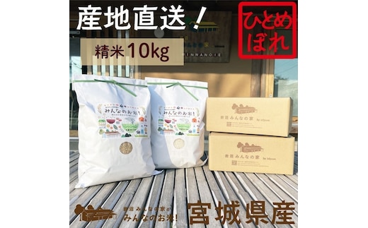 米 ひとめぼれ 精米 10kg ご飯 Aランク米