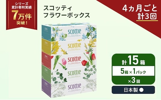 定期便 ティッシュ スコッティ フラワーボックス 5箱 × 1パック《 4ヶ月ごと計 3回 》