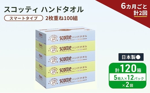 定期便 ペーパータオル スコッティ キレイの仕上げ 5箱 × 12パック《 6ヶ月ごと計2回 》ペーパータオルセット