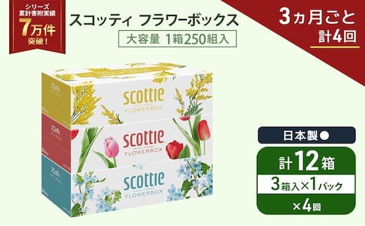 定期便 ティッシュ スコッティ フラワーボックス 3箱 × 1 パック《 3ヶ月ごと計 4回 》ティッシュセット