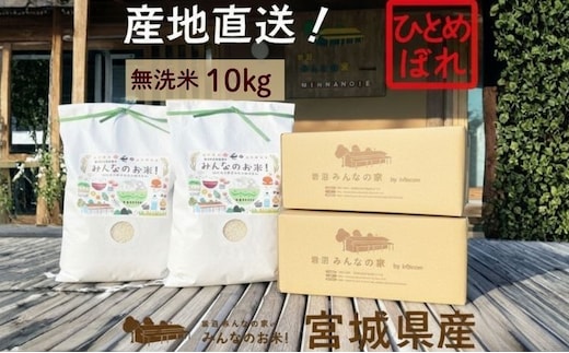 米 ひとめぼれ 無洗米 10kg ご飯 Aランク米