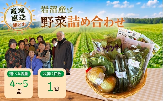 宮城県 岩沼産 産地直送 朝どれ 新鮮野菜 4～5種類 詰め合わせセット