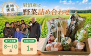 宮城県 岩沼産 産地直送 朝どれ 新鮮野菜 8～10種類 詰め合わせセット
